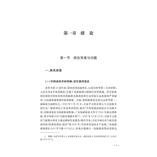 碳达峰目标下混合碳减排政策的协同效应研究/张永强 著/浙江大学出版社 商品图1