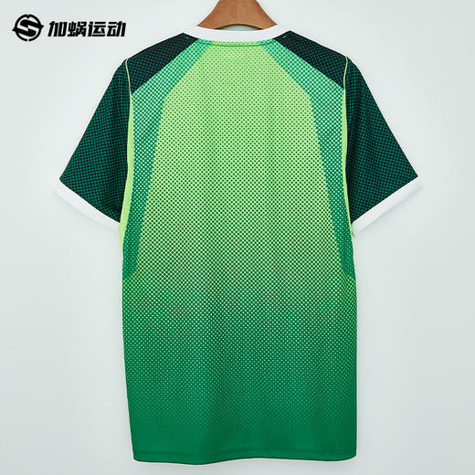 SFS耐克Nike2026尼日利亚主场球迷版球衣短袖足球服IB5308-302 商品图1