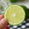 【斌哥优选】塔希提一号无籽香水柠檬。皮皱皱、无籽、味香、多汁😋清新酸爽。维生素C含量超高 商品缩略图0