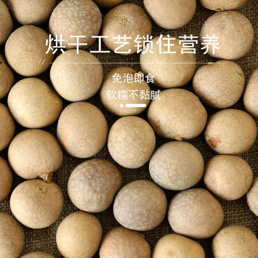 花家盛世 0添加泰国龙眼干220g圆罐装新鲜健康美味 HJSSJG042
 商品图1