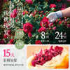 【嘉华鲜花饼】现烤头水花玫瑰饼 9枚礼盒 450g 15天保质期 商品缩略图6