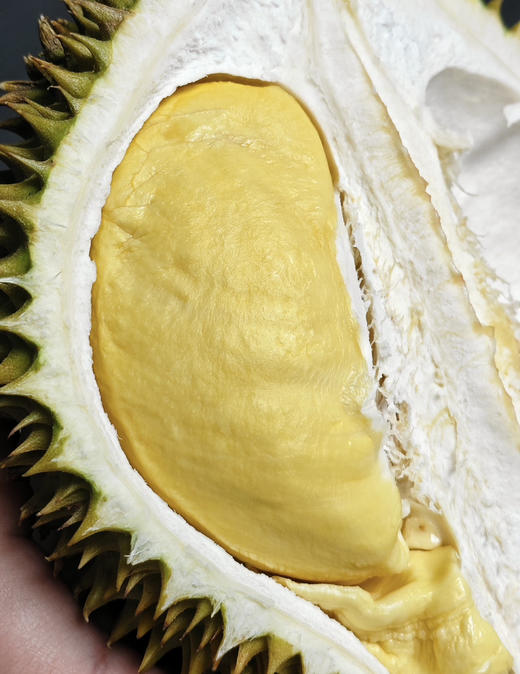 泰国空运糯米鸡榴莲（散称29.8/斤 称重补差 默认剥好） 商品图1