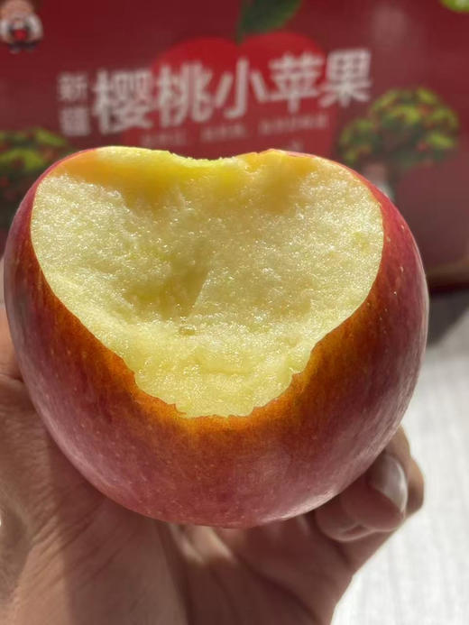新疆樱桃小苹果 商品图1