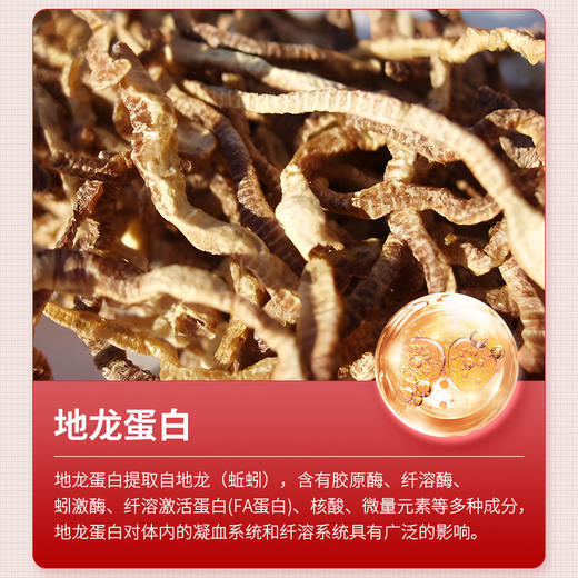 [买3送2] 海参肽地龙蛋白片 科学配比 清固合一 超微研磨吸收快 60片/瓶 商品图1