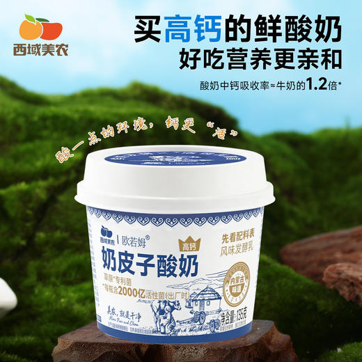 【FX】西域美农 内蒙古欧若姆奶皮子酸奶135g 小罐 活菌酸奶 商品图4