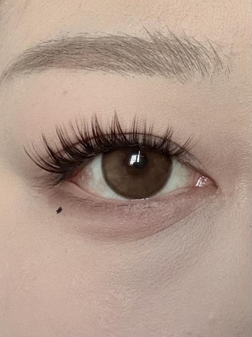 huohuocon 日抛 超大琥珀 直径14.5mm 商品图1