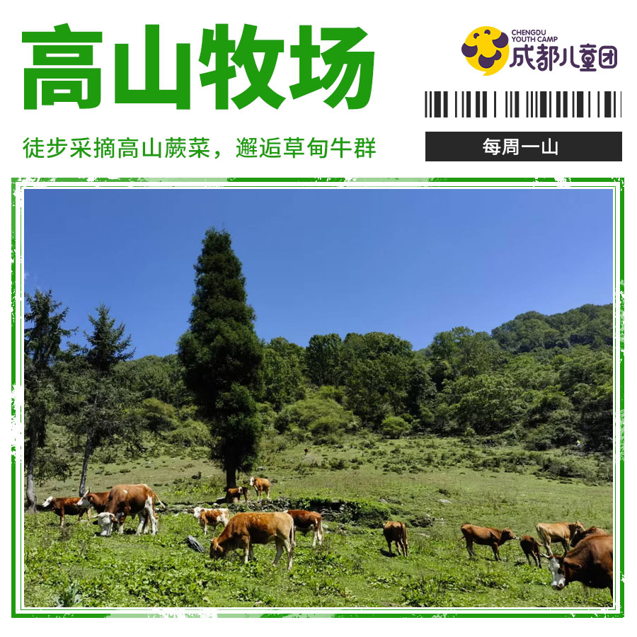 每周一山丨「采摘高山蕨菜-卧龙高山牧场亲子徒步」趁着好天气，赴一场与山野的浪漫约会