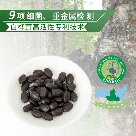 【买3送1再减50】【“森林之钻“ 原茸萃取】野生桦树茸精片 产地正宗 臻选原料 专利技术 冷萃提取 高含量 易吸收 方便携带 简单易服 商品图3