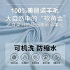 迷失的羊美利奴羊毛短袖|男款，16.5微米，吸湿排汗，干爽不粘腻 商品缩略图2