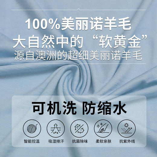 迷失的羊美利奴羊毛短袖|男款，16.5微米，吸湿排汗，干爽不粘腻 商品图2