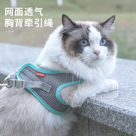 【360°环绕分压胸背、环保材质强力锁扣】猫咪牵引绳可调节溜猫牵引绳猫绳子猫牵引防挣脱外出专用猫绳背带.TA 商品图1