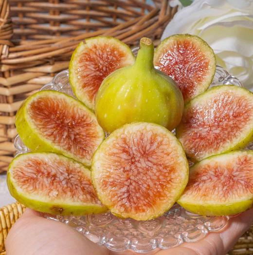 花香蜜无花果 商品图0