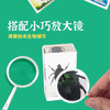 树脂标本昆虫标本真虫植物海洋学生礼物教学玩具豆形拳蟹标本-纪念日百货门店同款171093230 商品缩略图4