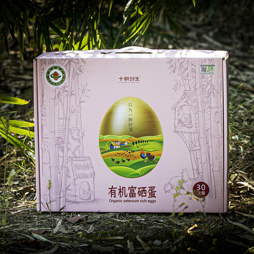 388型套餐3有机鸡蛋礼盒 商品图4