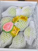 九七树上的芭乐7-11个/箱不等（领秀店） 商品缩略图0