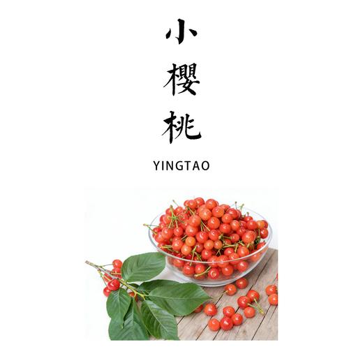云南深山新鲜老品种小樱桃  产地：云南楚雄【基地直发】表皮娇嫩，容易磕碰，介意勿拍 商品图0