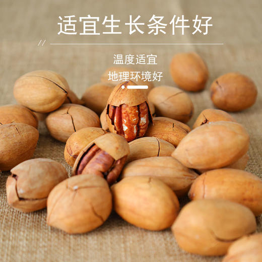 【自营】花家盛世 碧根果400g圆罐装新鲜健康美味 HJSSJG029
 商品图2