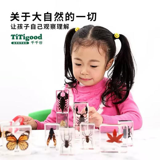 树脂标本昆虫标本真虫植物海洋学生礼物教学玩具东亚钳蝎标本-纪念日百货门店同款171093176 商品图1