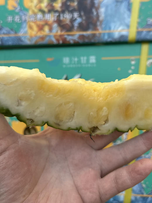 海南冬蜜凤梨 商品图2