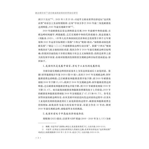 碳达峰目标下混合碳减排政策的协同效应研究/张永强 著/浙江大学出版社 商品图2