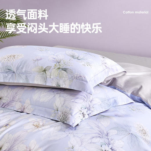 60支全棉贡缎四件套(兰溪) 商品图4