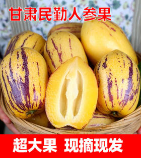 自营（农产品）-甘肃民勤人参果