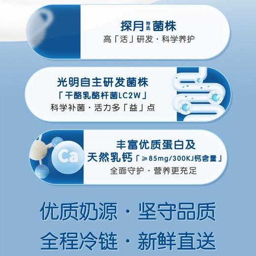 光明1.1kg原味桶装酸牛奶 商品图2