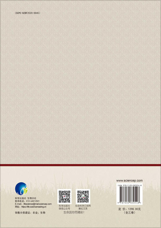 王彦荣论文选集 9787030830548 商品图1