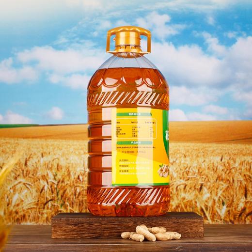 花家盛世  浓香花生油5L 优质原料精品甄选高端红	HJSS005 商品图2