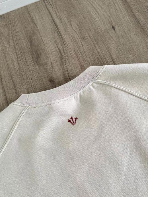 F040915春秋季新款立体硅胶印花字母加绒休闲时尚百搭插肩长袖卫衣 商品图7