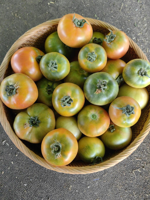 铁皮草莓番茄🍅
底部呈绿色，果面青红相间，肉厚味甜，肉质脆爽，酸度和糖度都非常高，口味非常出众。。。小时候哒味道！ 商品图4