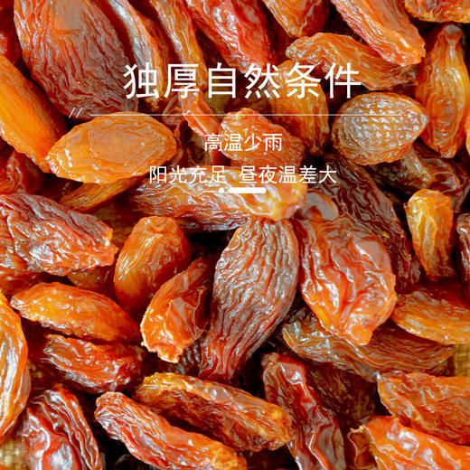 花家盛世 0添加红香妃葡萄干220g圆罐装新鲜健康美味 商品图1