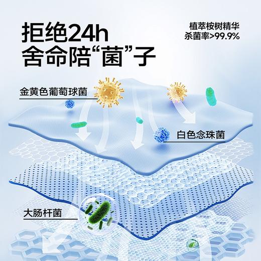 【乐乐桉地板清洁剂】 一瓶多用！清洁卫生，家庭必备❗️ 商品图3