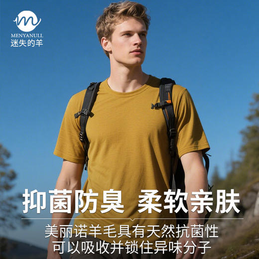 迷失的羊美利奴羊毛短袖|男款，16.5微米，吸湿排汗，干爽不粘腻 商品图1