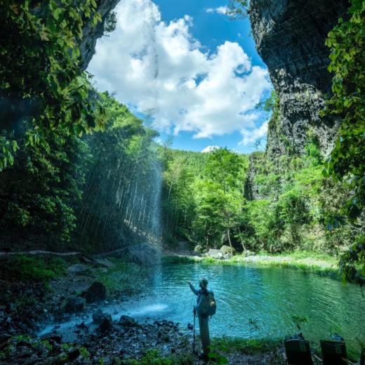 五一3天【徽杭古道·立减80元】西天目山大树王国の浙江版熊野千年古道-浮憩谷-绩溪龙川 商品图0