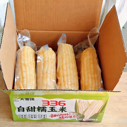 【大雪团】五常336白甜糯玉米 糯唧唧甜滋滋 粒粒饱满 嫩到爆珠 复购爆品 商品图4
