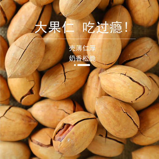 【自营】花家盛世 碧根果400g圆罐装新鲜健康美味 HJSSJG029
 商品图1