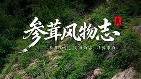 参茸风物志｜本草有灵，山海藏志