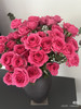 【2026.4.10】特价：5枝多头玫苏菲宝贝19.9（现货 下单即可到店自提） 商品缩略图1