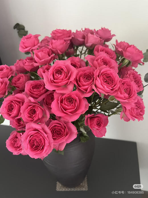 【2026.4.10】特价：5枝多头玫苏菲宝贝19.9（现货 下单即可到店自提） 商品图1