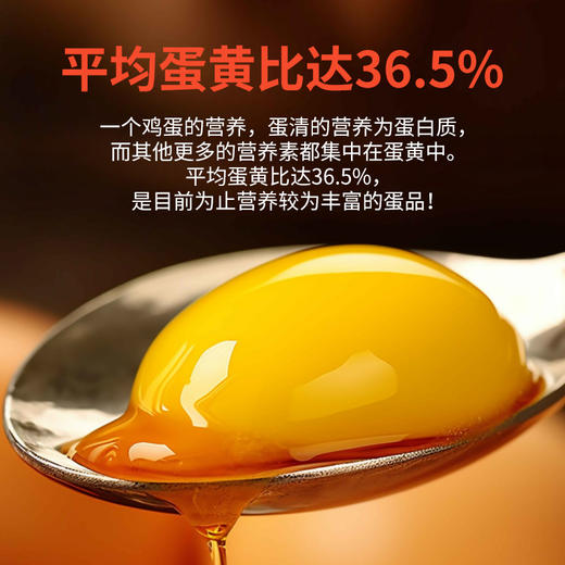 388型套餐3有机鸡蛋礼盒 可生食 商品图3