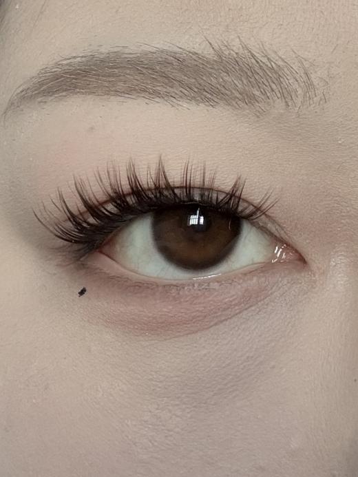 huohuocon 日抛 乌木褐 直径14.2mm 商品图0