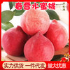 正宗现摘春雪水蜜桃5斤整箱新鲜应季孕妇水果10批发包邮3斤毛桃子 商品缩略图0
