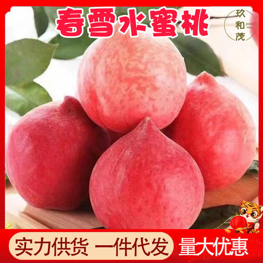 正宗现摘春雪水蜜桃5斤整箱新鲜应季孕妇水果10批发包邮3斤毛桃子 商品图0