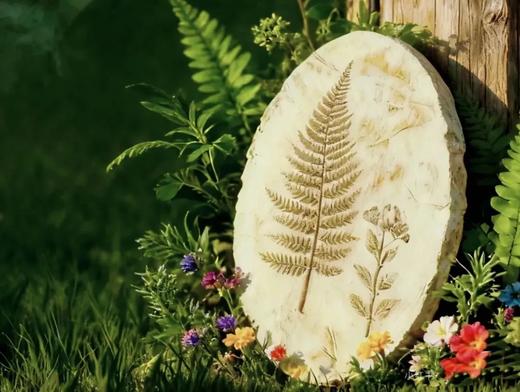 5.2-5.3/5.3-5.4【崇州琉璃坝·森林秘境】2天1夜亲子露营：昆虫旅馆、夜观萤火虫、古沙陀国秘境徒步、烤叫花鸡、植物化石 商品图4