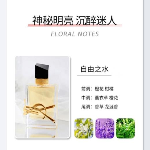 【限时特惠】YSL圣罗兰自由之水香水女士淡香50ml 持久清新留香花香调 商品图5