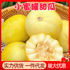 正宗山东头茬小蜜蜂甜瓜5斤新鲜水果香瓜10批发包邮3斤星甜20蜜罐 商品缩略图0
