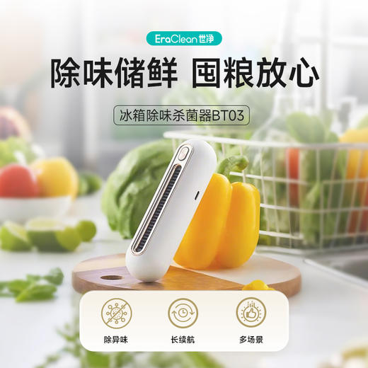 世净冰箱杀菌除味器升级款|0耗材巨省钱，杀菌除味还保鲜 商品图1