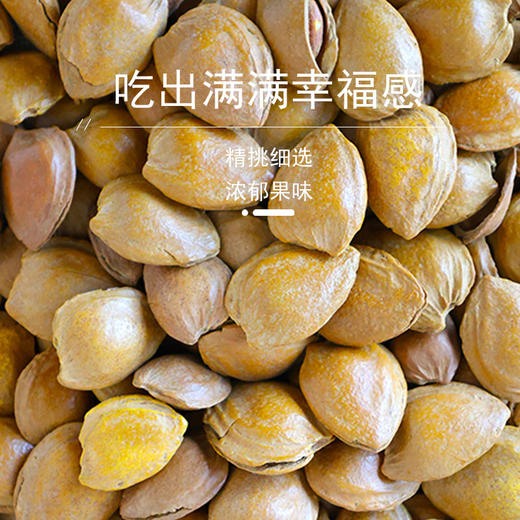 花家盛世 壳山杏550g圆罐装快充大容量高清降噪智能 HJSSJG036
 商品图1