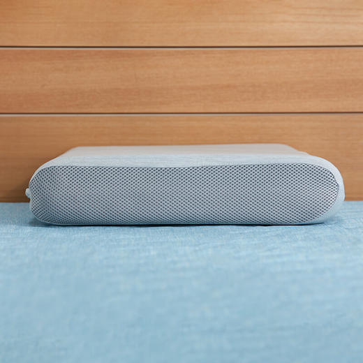 NITORI宜得利家居 新款夏凉枕冷感枕头可水洗海绵冷感枕 商品图1